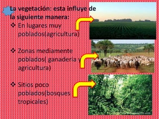 La vegetación: esta influye de
la siguiente manera:
 En lugares muy
   poblados(agricultura)

 Zonas mediamente
  poblados( ganaderia y
  agricultura)

 Sitios poco
  poblados(bosques
  tropicales)
 