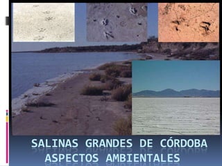 SALINAS GRANDES DE CÓRDOBA
  ASPECTOS AMBIENTALES
 