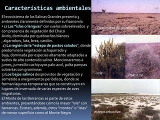 Características ambientales
El ecosistema de las Salinas Grandes presenta 3
ambientes claramente definidos por su fisonomía
• 1) Las “islas o lenguas” con suelos sobreelevados y  Comunidad de gramíneas
con presencia de vegetación del Chaco
Árido, dominada por quebrachos blancos
, algarrobos, lata, brea, cardón.
 2) La región de la “estepa de pastos salados”, donde
predomina la vegetación achaparrada y
baja, dominada por especies altamente adaptadas a
suelos de alto contenido salino. Mencionaremos a
jumes, jumecillo cachiyuyos palo azul, palta pampas
cubiertas con gramíneas
3) Los bajos salinos desprovistos de vegetación y      Ucle
                                                                        Palo azul
sometido a anegamientos periódicos, donde se
forman lagunas temporarias que se constituyen en
lugares de invernada de varias especies de aves
migratorias.
El Monte de las Barrancas es parte de estos
ambientes, presentándose como la mayor “isla” con
barrancas. Existen, además, otros “montes” o “islas”
de menor superficie como el Monte Negro               estepa arbustiva
 