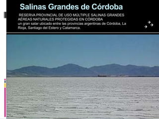 Salinas Grandes de Córdoba
RESERVA PROVINCIAL DE USO MÚLTIPLE SALINAS GRANDES
AÉREAS NATURALES PROTEGIDAS EN CÓRDOBA
un gran salar ubicado entre las provincias argentinas de Córdoba, La
Rioja, Santiago del Estero y Catamarca.
 