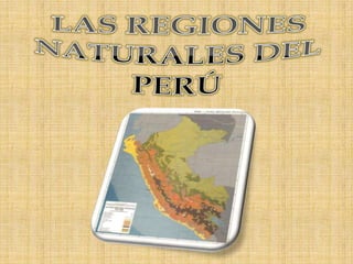 LAS REGIONES NATURALES DEL PERÚ 