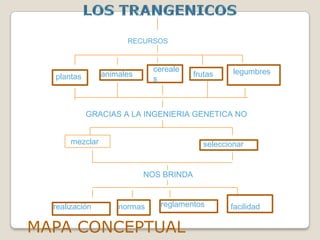 LOS TRANGENICOS                                          RECURSOS cereales legumbres frutas animales plantas GRACIAS A LA INGENIERIA GENETICA NO mezclar seleccionar NOS BRINDA reglamentos realización normas facilidad MAPA CONCEPTUAL 