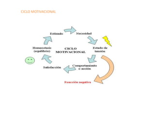CICLO MOTIVACIONAL
 