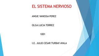 EL SISTEMA NERVIOSO
ANGIE VANESSA PEREZ
OLGA LUCIA TORREZ
1001
I.E. JULIO CESAR TURBAY AYALA
 