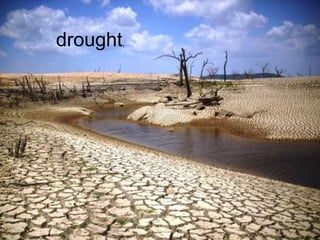 drought , 