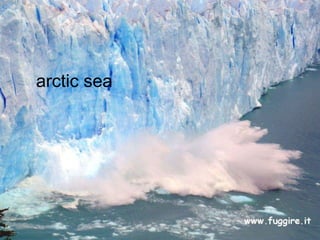 arctic sea 