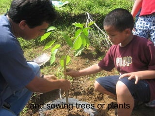 and sowing trees or plants . 
