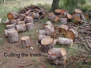 Cutting the trees , 