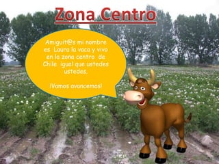 Amiguit@s mi nombre
es Laura la vaca y vivo
 en la zona centro de
Chile igual que ustedes
        ustedes.

  ¡Vamos avancemos!
 