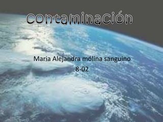 Maria Alejandra mólina sanguino
             8-02
 
