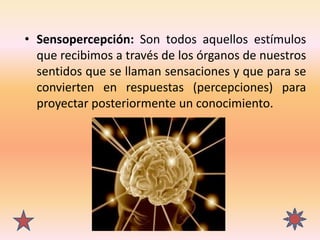 • Sensopercepción: Son todos aquellos estímulos
que recibimos a través de los órganos de nuestros
sentidos que se llaman s...