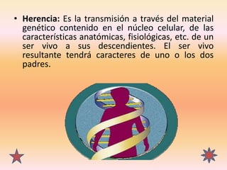 • Herencia: Es la transmisión a través del material
genético contenido en el núcleo celular, de las
características anatóm...