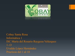 Cobay Santa Rosa
Informática 1
ISC María del Rosario Raygoza Velázquez
1-.O
Uvaldo López Hernández
Practicas del 1 al 10

 