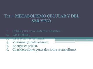 T11 – METABOLISMO CELULAR Y DEL
SER VIVO.
1.
2.
3.
4.
5.
6.

Célula y ser vivo: sistemas abiertos.
Las enzimas.
La reacción enzimática.
Vitaminas y metabolismo.
Energética celular.
Consideraciones generales sobre metabolismo.

 