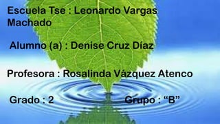Escuela Tse : Leonardo Vargas
Machado
Alumno (a) : Denise Cruz Díaz
Profesora : Rosalinda Vázquez Atenco
Grado : 2

Grupo : “B”

 