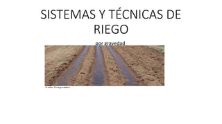 SISTEMAS Y TÉCNICAS DE
RIEGO
por gravedad
 