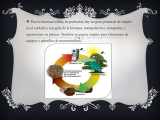  Para la biomasa sólida, en particular, hay un gran potencial de empleo
en el cuidado y recogida de la biomasa, manipulación y transporte, y
operaciones en plantas. También se genera empleo para fabricantes de
equipos y plantillas de mantenimiento.
 