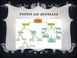 TOPOS DE BIOMASA
 