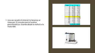 Procesamiento de Minerales de planta concentradora | PPTX