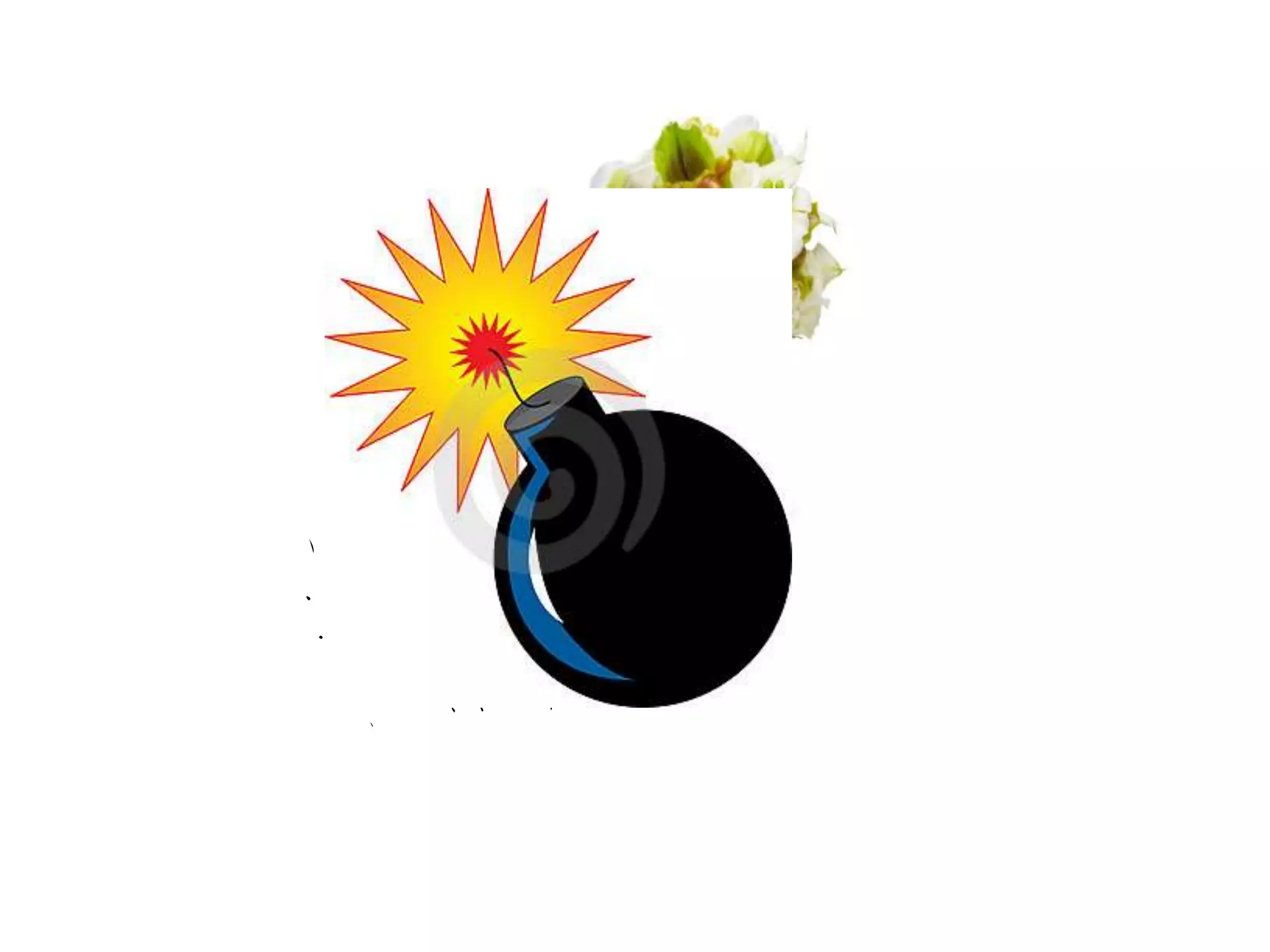 Presentación 150 diapositivas