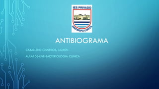 ANTIBIOGRAMA
CABALLERO CISNEROS, JAZMÍN
AULA106-ENE-BACTERIOLOGIA CLINICA
 
