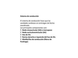 Sistema de conducción

El sistema de conducción hace que las
cavidades cardiacas se contraigan de forma
coordinada.
Los principales componentes son:
Nodo sinoauricular (SA) o marcapaso
Nodo auriculoventricular (AV)
Haz de His
Ramas derecha e izquierda del haz de His
Miofibrillas de conducción (fibras de
Purkinge)
 