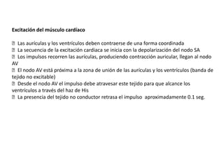 Excitación del músculo cardíaco

Las aurículas y los ventrículos deben contraerse de una forma coordinada
La secuencia de la excitación cardiaca se inicia con la depolarización del nodo SA
Los impulsos recorren las aurículas, produciendo contracción auricular, llegan al nodo
AV
El nodo AV está próxima a la zona de unión de las aurículas y los ventrículos (banda de
tejido no excitable)
Desde el nodo AV el impulso debe atravesar este tejido para que alcance los
ventrículos a través del haz de His
La presencia del tejido no conductor retrasa el impulso aproximadamente 0.1 seg.
 