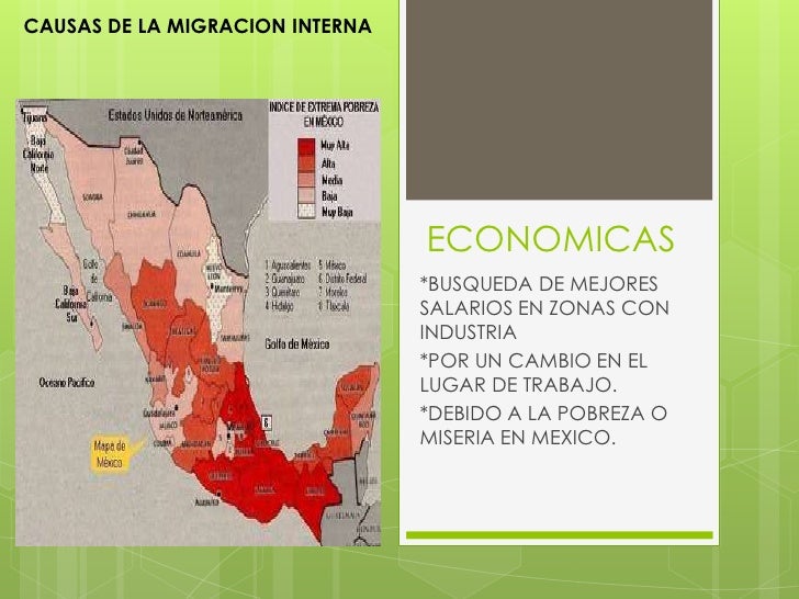 Causas De La Migracion