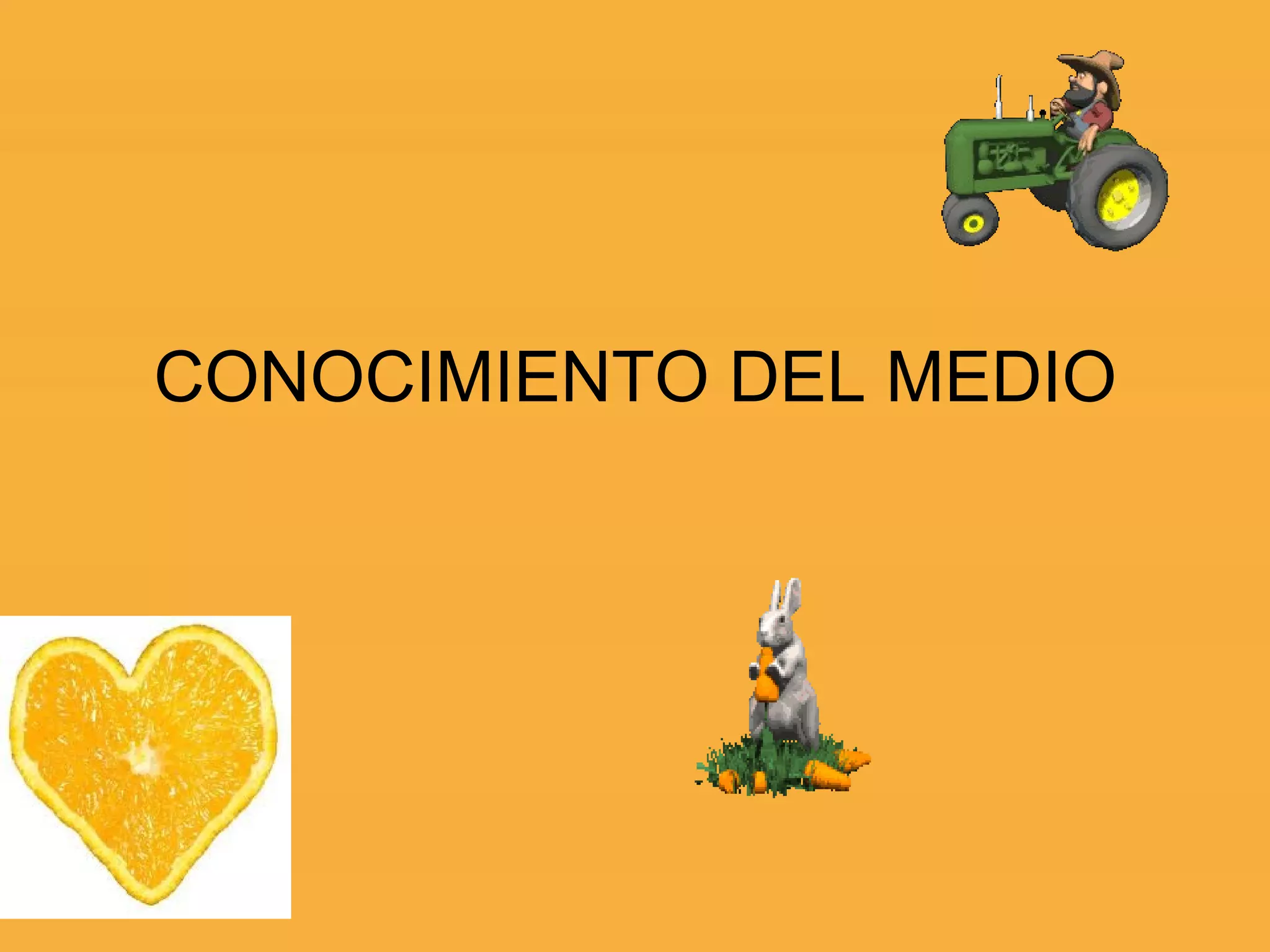 CONOCIMIENTO DEL MEDIO 