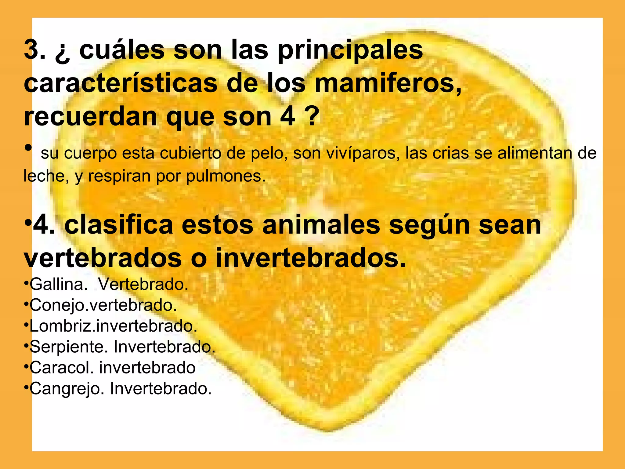 3. ¿ cuáles son las principales características de los mamiferos, recuerdan que son 4 ? su cuerpo esta cubierto de pelo, son vivíparos, las crias se alimentan de leche, y respiran por pulmones. 4. clasifica estos animales según sean vertebrados o invertebrados. Gallina.  Vertebrado. Conejo.vertebrado. Lombriz.invertebrado. Serpiente. Invertebrado. Caracol. invertebrado Cangrejo. Invertebrado. 