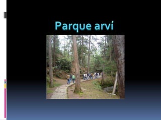 Parque arví