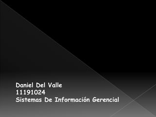 Daniel Del Valle 11191024Sistemas De Información Gerencial 