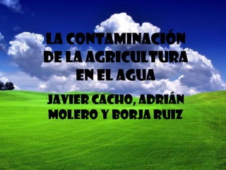 La contaminación de la agricultura en el agua JAVIER CACHO, ADRIÁN MOLERO Y BORJA RUIZ 