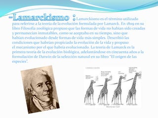-Lamarckismo :                                                                  Lamarckismo es el término utilizado para referirse a la teoría de la evolución formulada por Lamarck. En 1809 en su libro Filosofía zoológica propuso que las formas de vida no habían sido creadas y permanecían inmutables, como se aceptaba en su tiempo, sino que habían evolucionado desde formas de vida más simples. Describió las condiciones que habrían propiciado la evolución de la vida y propuso el mecanismo por el que habría evolucionado. La teoría de Lamarck es la primera teoría de la evolución biológica, adelantándose en cincuenta años a la formulación de Darwin de la selección natural en su libro “El origen de las especies”.