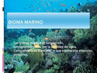 Bioma Marino  Los biomas marinos se caracterizan, fundamentalmente, por la salinidad del agua. Comprende todo el océano, lo que supone una extensión vastísima.  