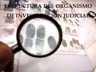 ESTRUCTURA DEL ORGANISMO
DE INVESTIGACION JUDICIAL
 