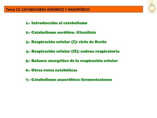 Tema 12: CATABOLISMO AERÓBICO Y ANAERÓBICO
1.- Introducción al catabolismo
2.- Catabolismo aeróbico. Glucólisis
3.- Respiración celular (I): ciclo de Krebs
4.- Respiración celular (II): cadena respiratoria
5.- Balance energético de la respiración celular
6.- Otras rutas catabólicas
7.- Catabolismo anaeróbico: fermentaciones

 