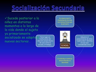 Se espera que la 
implantación de esta 
sea menos firme que 
la primaria 
Adquiere el 
conocimiento de otros 
“submundos” distintos 
al suyo que 
consideraba único 
El individuo continua 
desarrollando su 
identidad 
Tiene lugar en 
instituciones de 
Sucede posterior a la 
niñez en distintos 
momentos a lo largo de 
la vida donde el sujeto 
ya primariamente 
socializado se adapta a 
nuevos sectores . 
elección propia (fuera 
de casa como la 
escuela, el trabajo… 
 