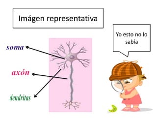 Imágen representativa 
Yo esto no lo 
sabía 
 