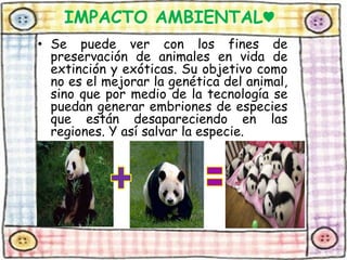 IMPACTO AMBIENTAL♥ 
• Se puede ver con los fines de 
preservación de animales en vida de 
extinción y exóticas. Su objetivo como 
no es el mejorar la genética del animal, 
sino que por medio de la tecnología se 
puedan generar embriones de especies 
que están desapareciendo en las 
regiones. Y así salvar la especie. 
 