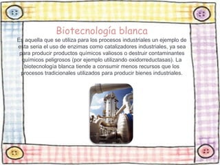 Biotecnología blanca 
Es aquella que se utiliza para los procesos industriales un ejemplo de 
esta seria el uso de enzimas como catalizadores industriales, ya sea 
para producir productos químicos valiosos o destruir contaminantes 
químicos peligrosos (por ejemplo utilizando oxidorreductasas). La 
biotecnología blanca tiende a consumir menos recursos que los 
procesos tradicionales utilizados para producir bienes industriales. 
 