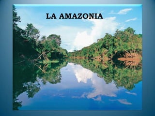 LA AMAZONIA
 