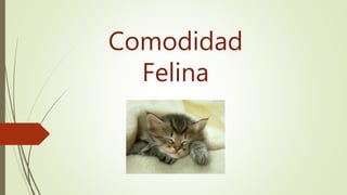 Comodidad
Felina
 
