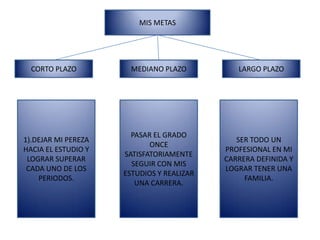 MIS METAS CORTO PLAZO MEDIANO PLAZO LARGO PLAZO 1).DEJAR MI PEREZA HACIA EL ESTUDIO Y LOGRAR SUPERAR CADA UNO DE LOS PERIODOS. PASAR EL GRADO ONCE SATISFATORIAMENTE SEGUIR CON MIS ESTUDIOS Y REALIZAR UNA CARRERA. SER TODO UN PROFESIONAL EN MI CARRERA DEFINIDA Y LOGRAR TENER UNA FAMILIA. 