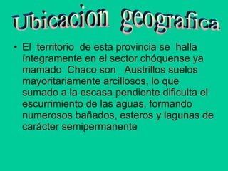 El  territorio  de esta provincia se  halla íntegramente en el sector chóquense ya mamado  Chaco son  Austrillos suelos mayoritariamente arcillosos, lo que sumado a la escasa pendiente dificulta el escurrimiento de las aguas, formando numerosos bañados, esteros y lagunas de carácter semipermanente Ubicacion  geografica  