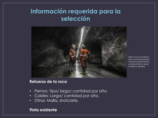 Información requerida para la
selección
Refuerzo de la roca
• Pernos: Tipo/ largo/ cantidad por año.
• Cables: Largo/ cantidad por año.
• Otros: Malla, shotcrete.
Flota existente
https://www.rumbomi
nero.com/revista/siste
mas-de-sostenimiento-
y-reforzamiento-para-
tuneles-y-taludes/
 