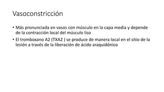 Vasoconstricción
• Más pronunciada en vasos con músculo en la capa media y depende
de la contracción local del músculo liso
• El tromboxano A2 (TXA2 ) se produce de manera local en el sitio de la
lesión a través de la liberación de ácido araquidónico
 