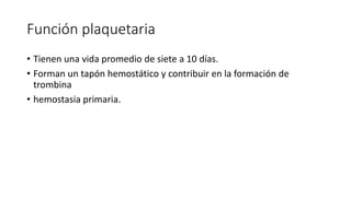 Función plaquetaria
• Tienen una vida promedio de siete a 10 días.
• Forman un tapón hemostático y contribuir en la formación de
trombina
• hemostasia primaria.
 