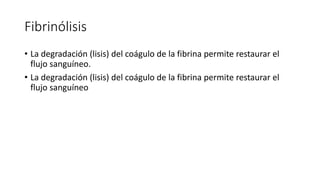Fibrinólisis
• La degradación (lisis) del coágulo de la fibrina permite restaurar el
flujo sanguíneo.
• La degradación (lisis) del coágulo de la fibrina permite restaurar el
flujo sanguíneo
 
