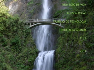 PROYECTO DE VIDA ALLISON ROJAS TRABAJO DE TECNOLOGIA PROF:ALEX GRANDA  11 –A 2011 